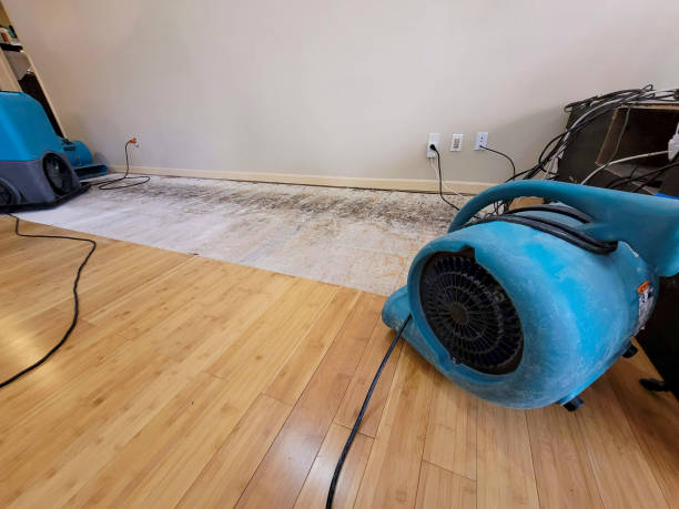 Professional Ceiling Water Damage Repair technician working in South Jordan, UT